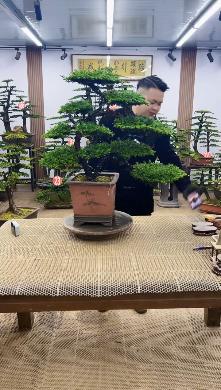 【闪购商品】0000000000