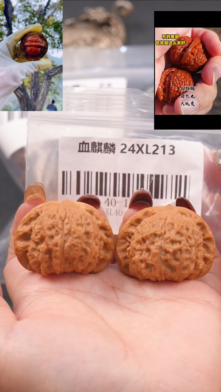 【闪购商品】文玩核桃把件40血麒麟狮子头