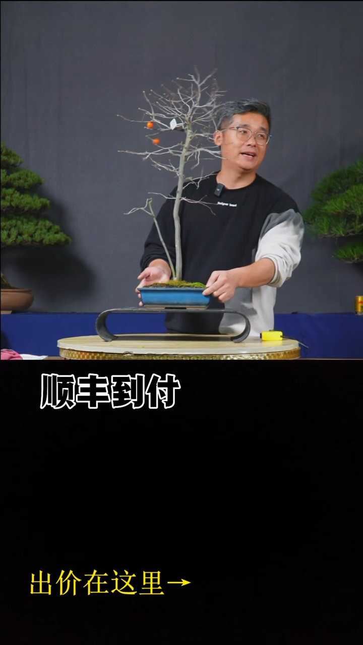 无花朵c402老鸦柿bubaoyou