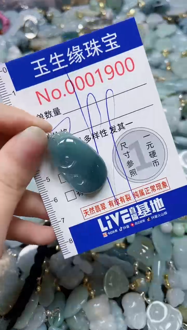 【闪购商品】翡翠颈饰未镶嵌闪购00001900