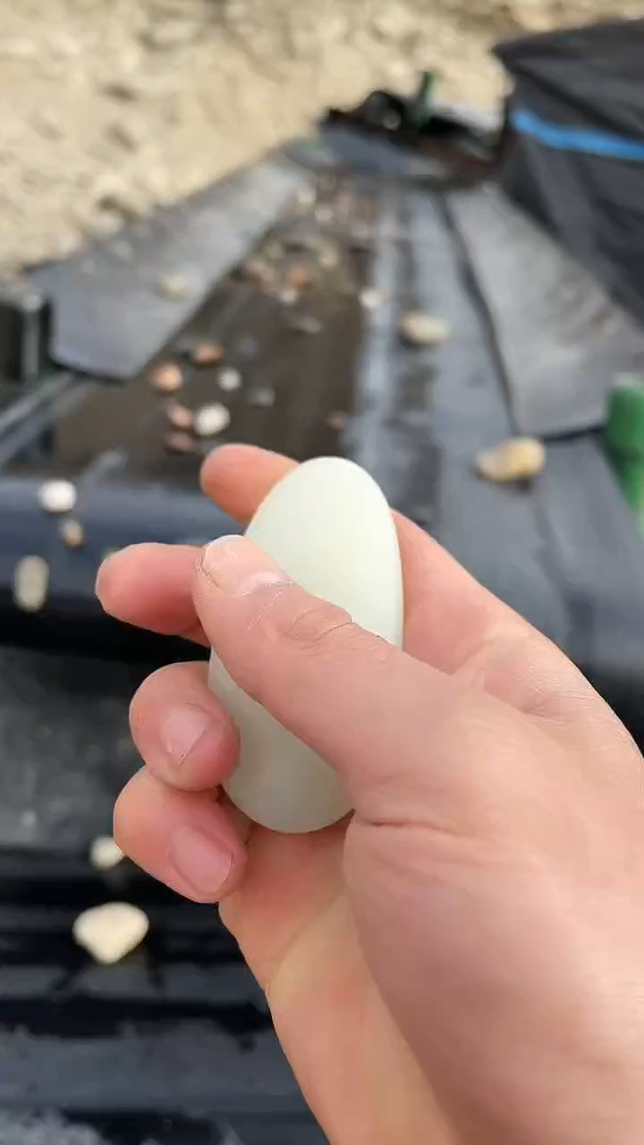 颈饰未镶嵌和田玉（糖玉）001