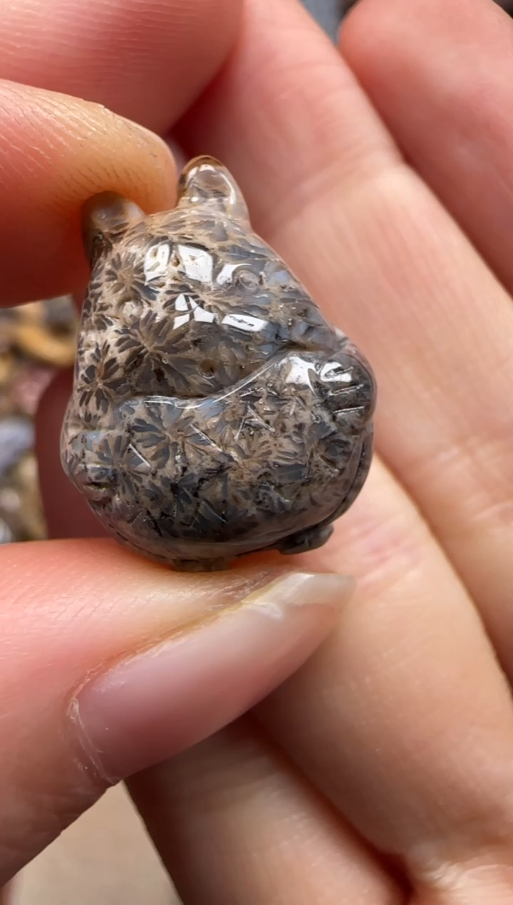 【闪购商品】硅化珊瑚（珊瑚玉）颈饰未镶嵌625