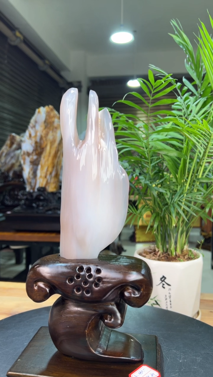 【闪购商品】硅化玉（树化玉）珠宝奇石未镶嵌1550