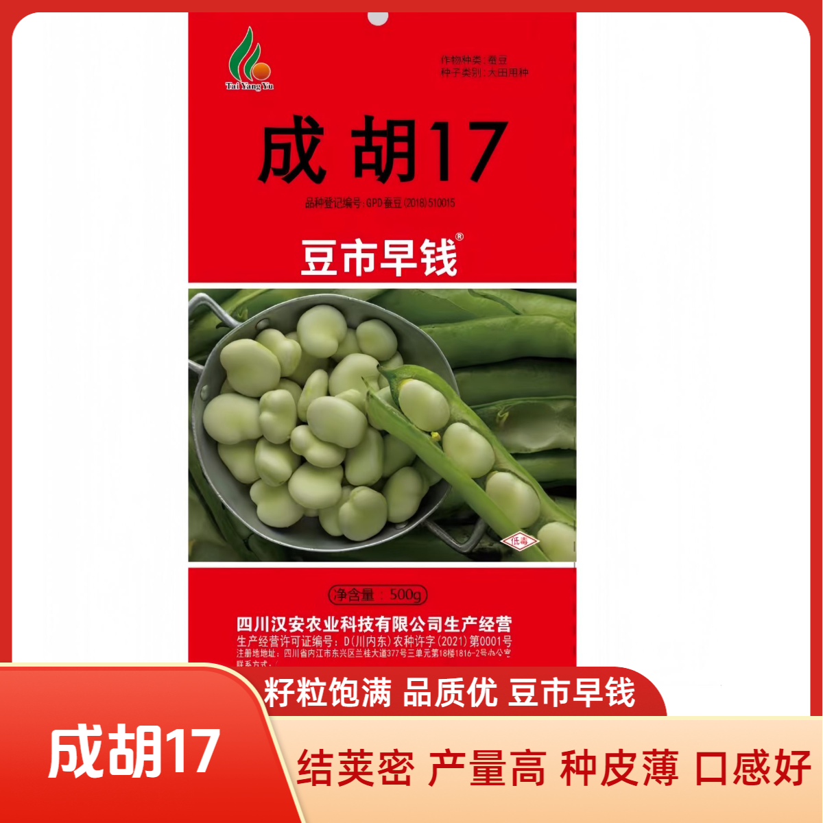 四川 早熟高产抗性优 籽粒饱满成胡17蚕豆