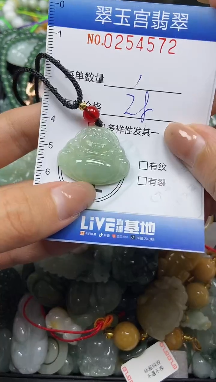 颈饰未镶嵌翡翠闪购C0254572