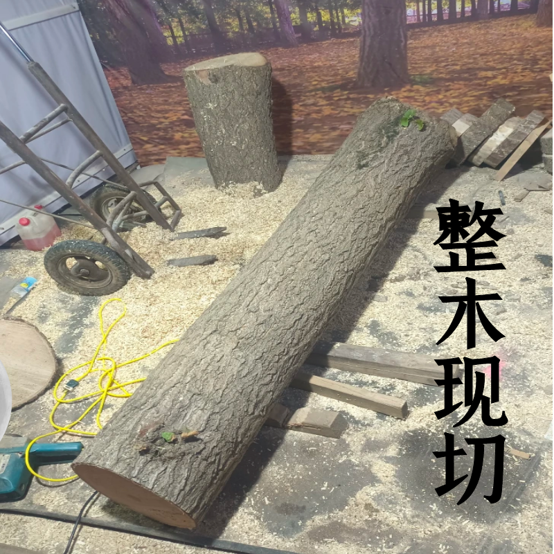 一物一拍 改价链接银杏木砧板白果树整木