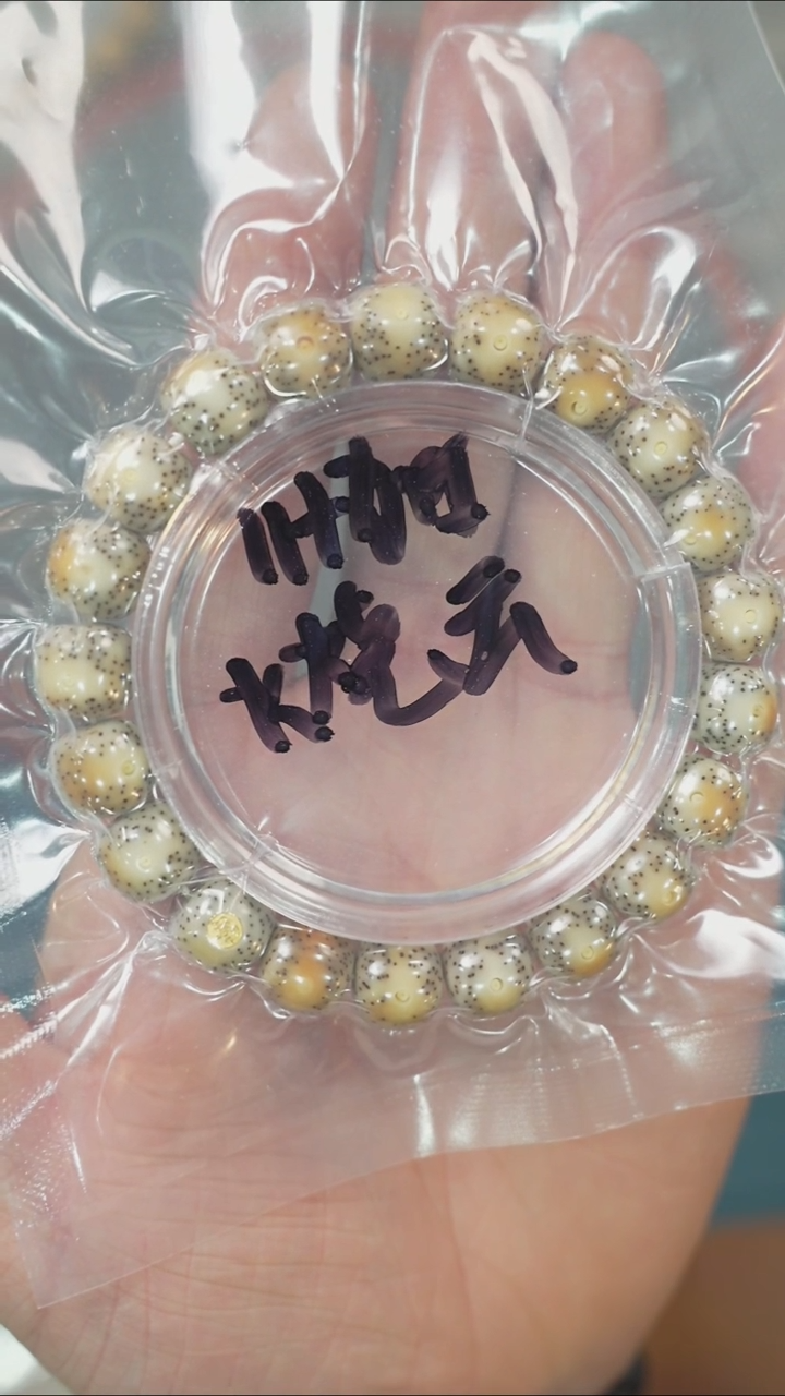 【闪购商品】星月菩提吊坠净庄阁文玩