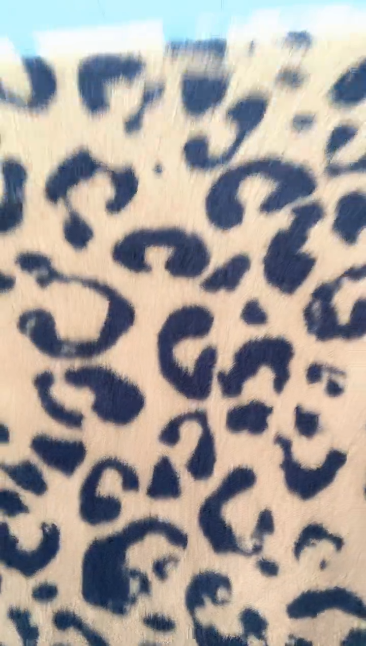 法兰绒2.5x1.8材质面料尺寸以主播介绍为准