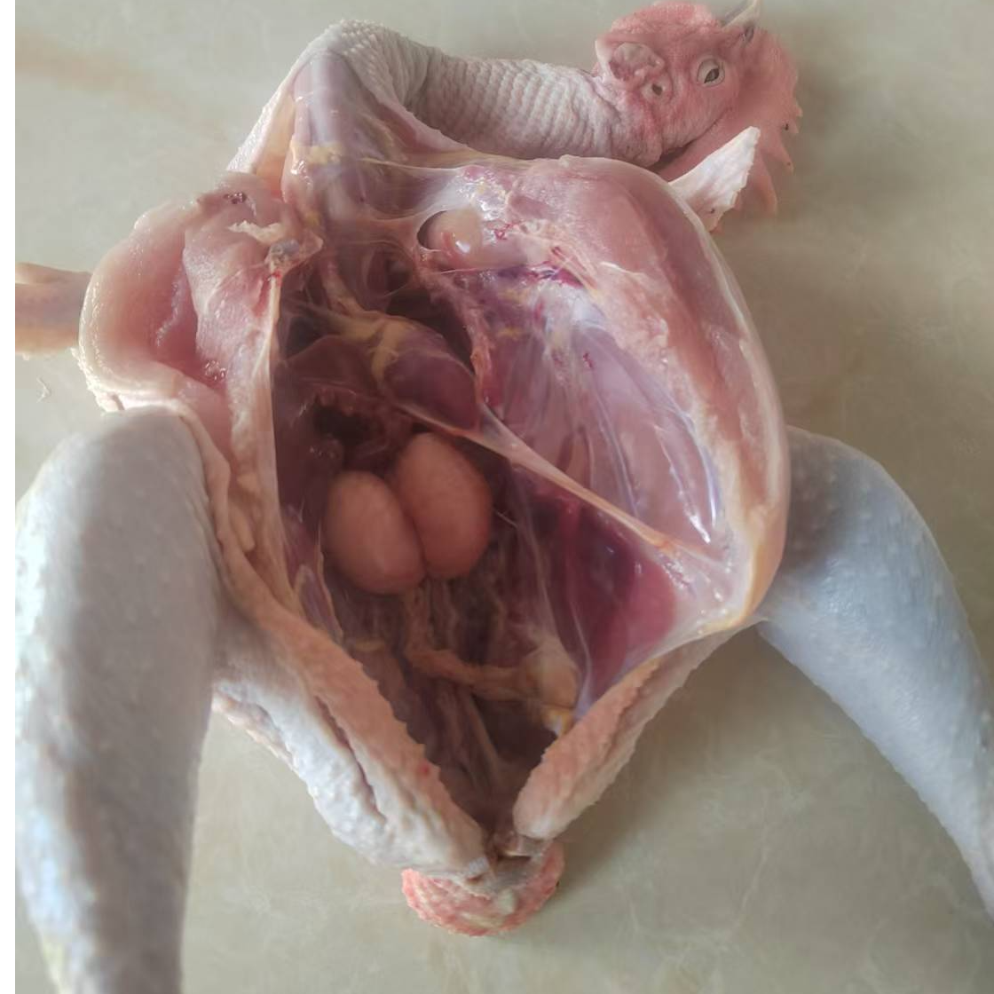 农村散养大公鸡，肉质紧实，味道鲜美，下单后现宰杀，顺丰包邮