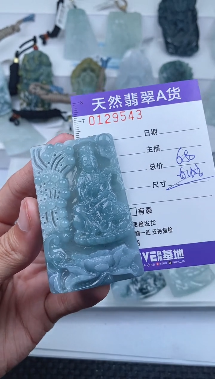 【闪购商品】翡翠颈饰未镶嵌         543