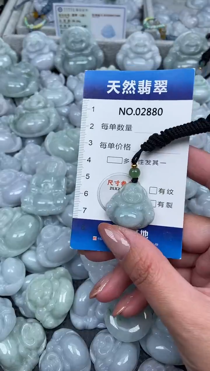 颈饰未镶嵌翡翠纯天然A货翡翠2880
