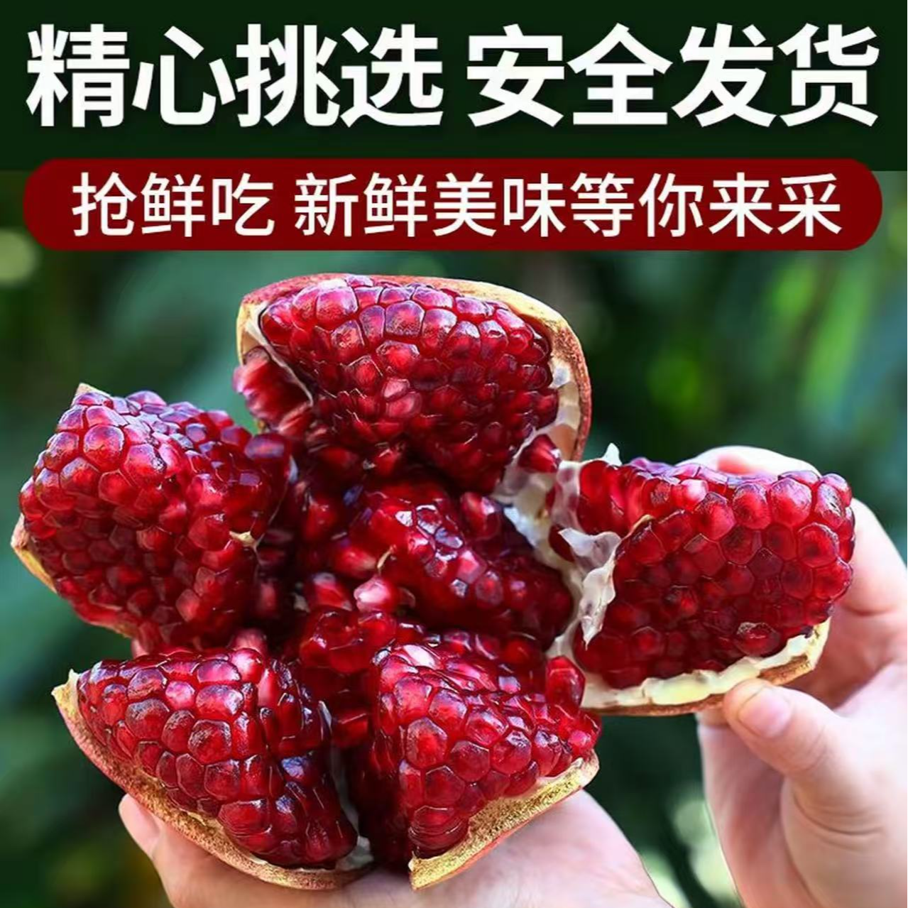 云南楚雄新鲜突尼斯软籽石榴