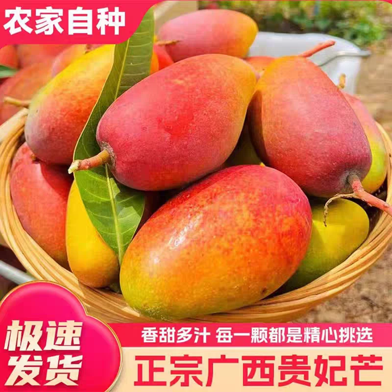 【放软食用】广西百色贵妃芒果新鲜当季香甜软糯核薄肉厚爆甜多汁