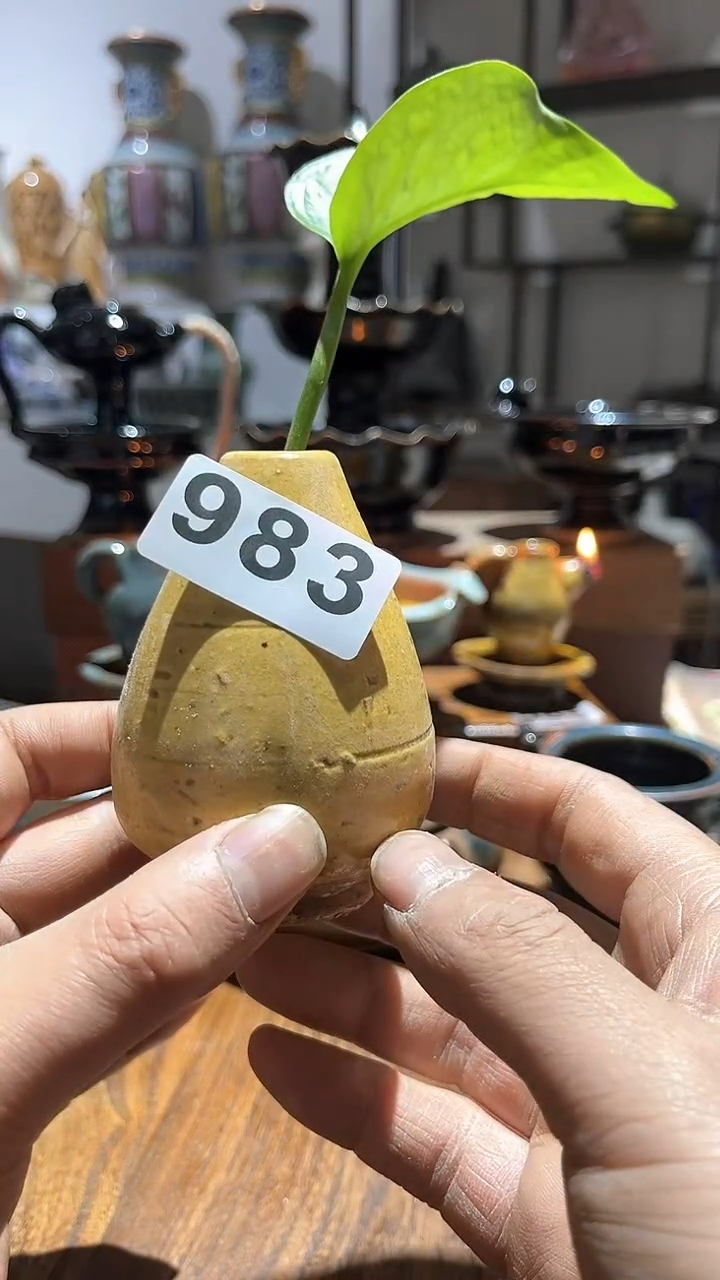 【闪购商品】摆件                