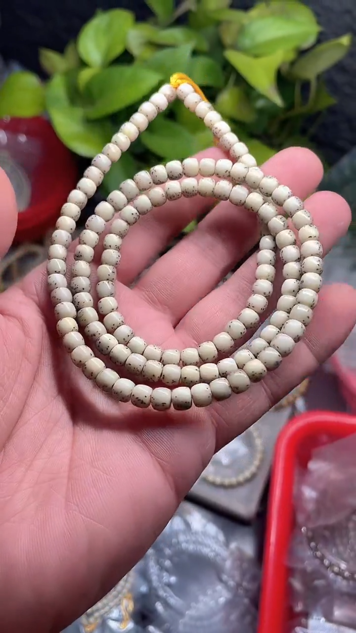 星月菩提手串海南星月菩提《*14》6X5长串