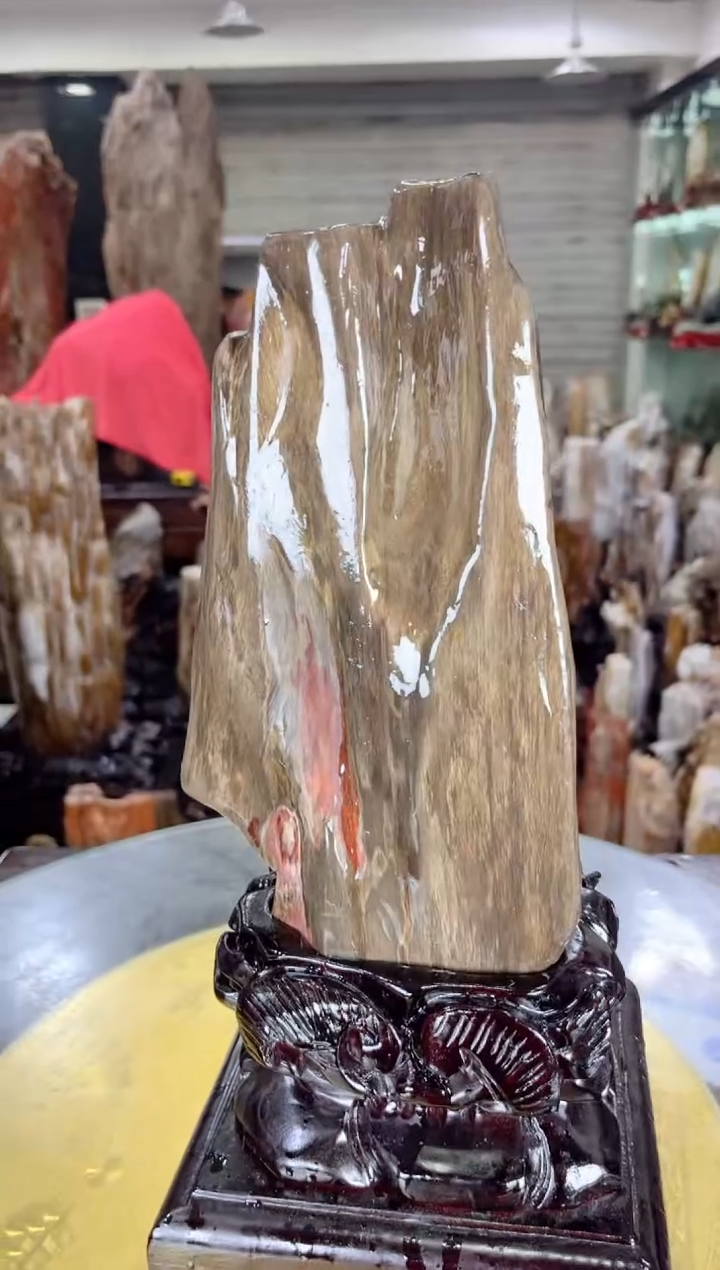 【闪购商品】硅化玉珠宝奇石未镶嵌缅甸天然树化玉