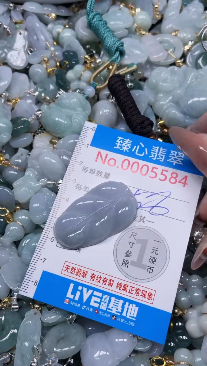 颈饰未镶嵌翡翠5584