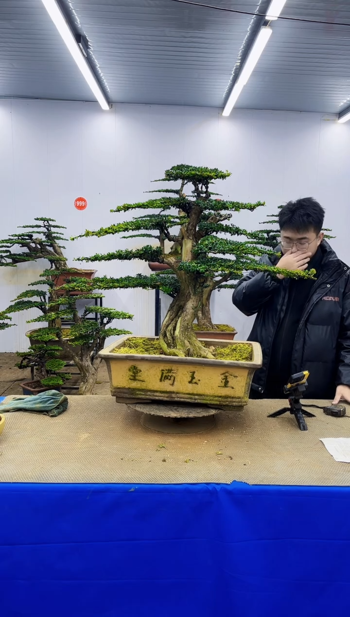 完全开放一物一拍，所见即所得