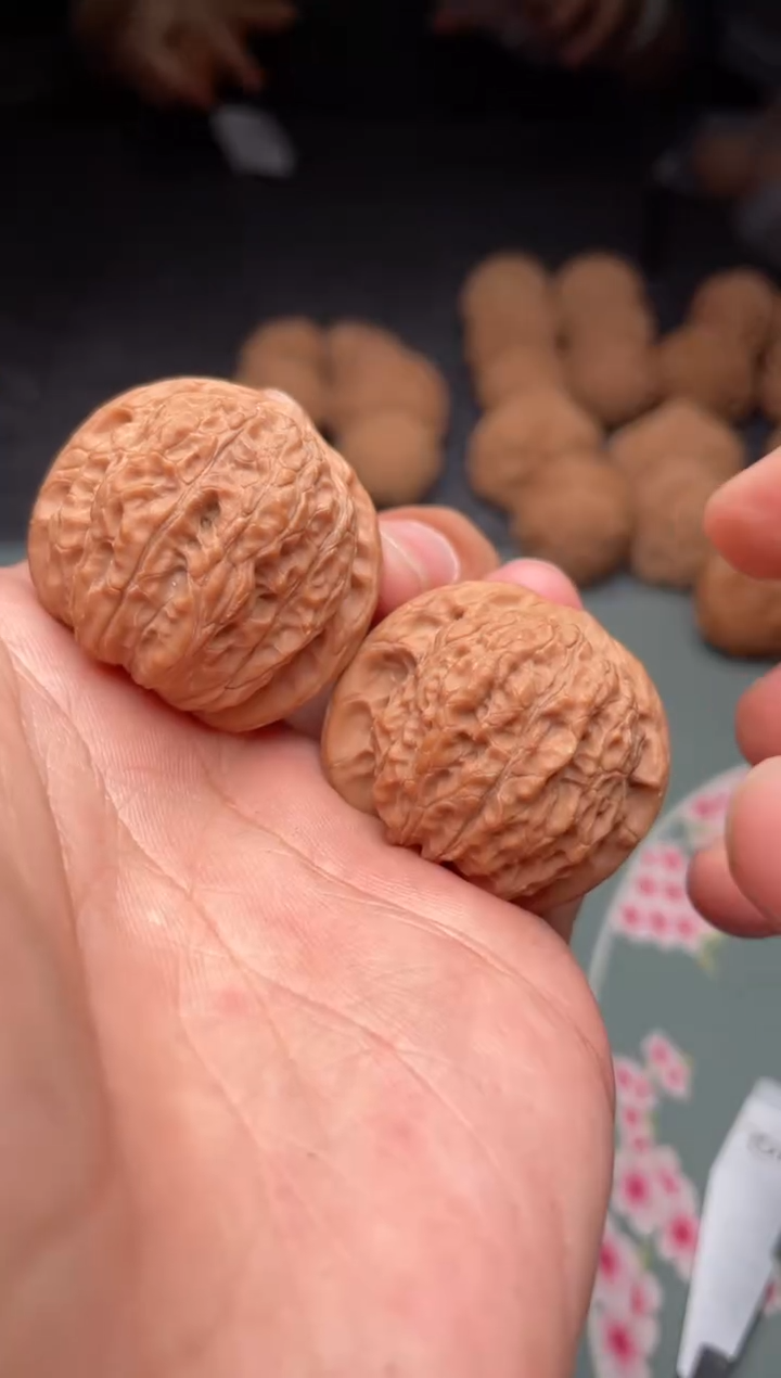 核桃a258 血麒麟  34尺