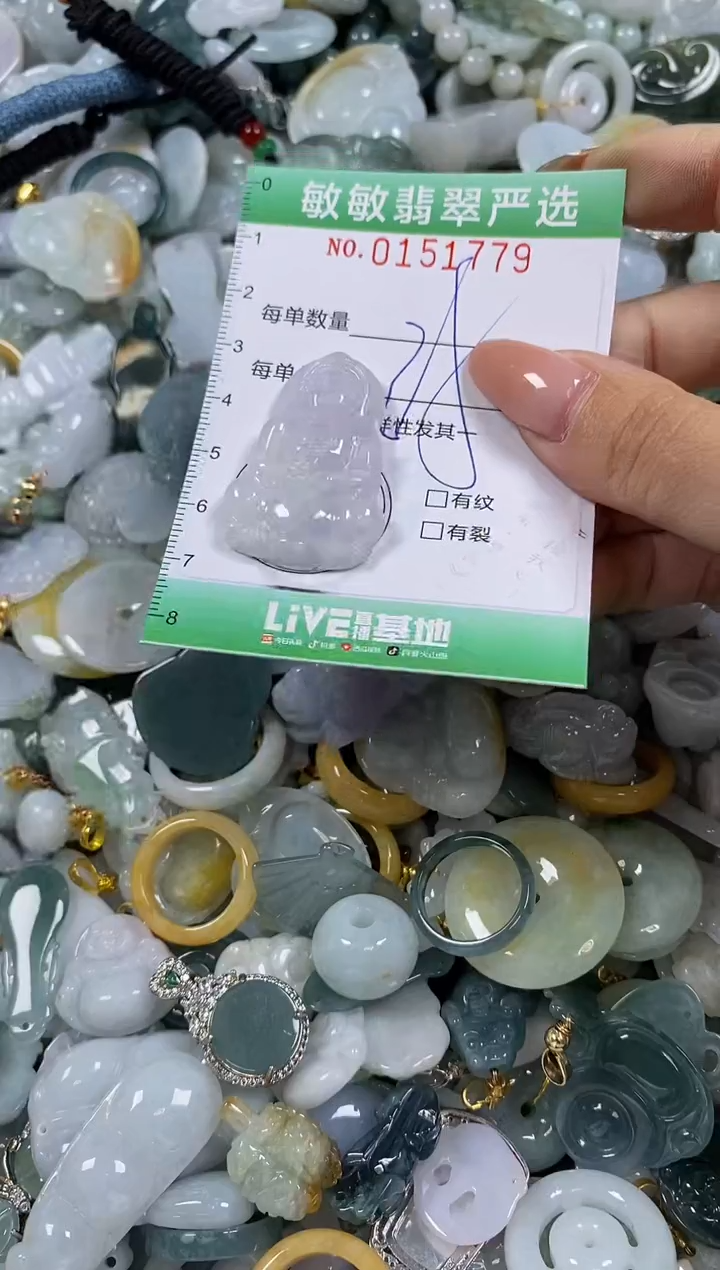 翡翠未镶嵌颈饰闪购0151779