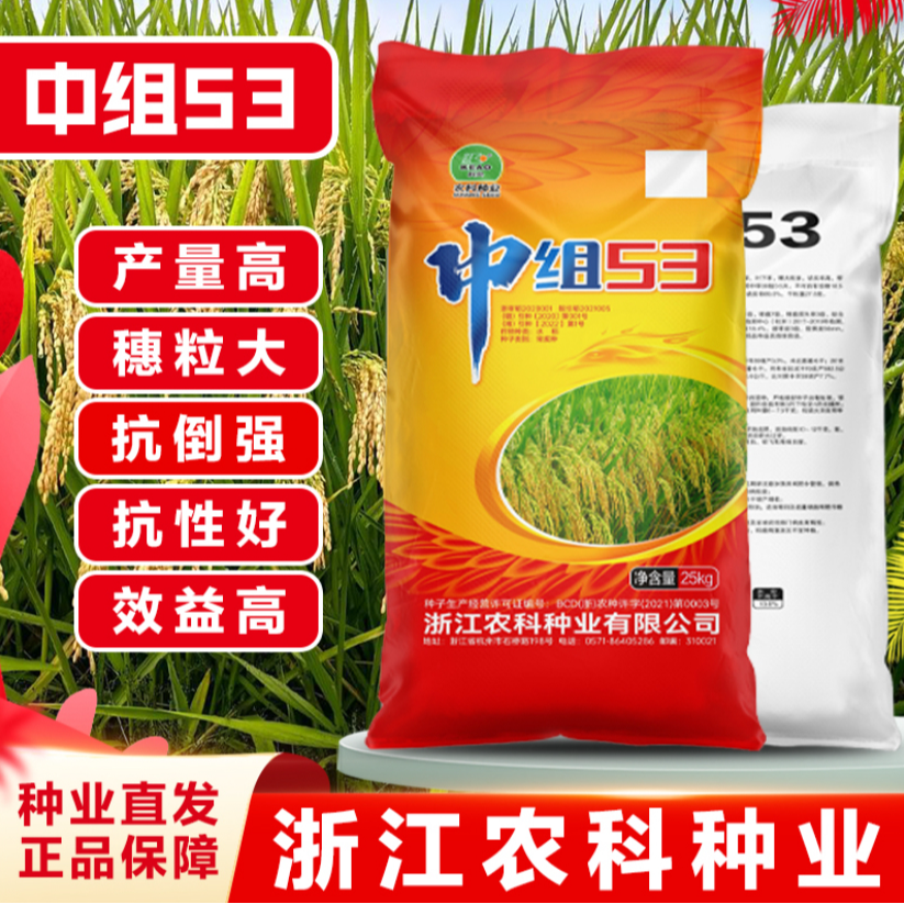 超高产超大穗超好卖中组53