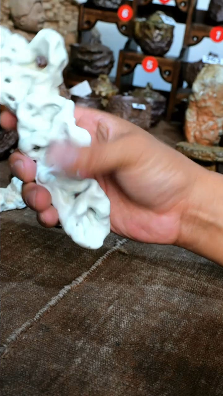 白瓷茶宠我**智茶宠