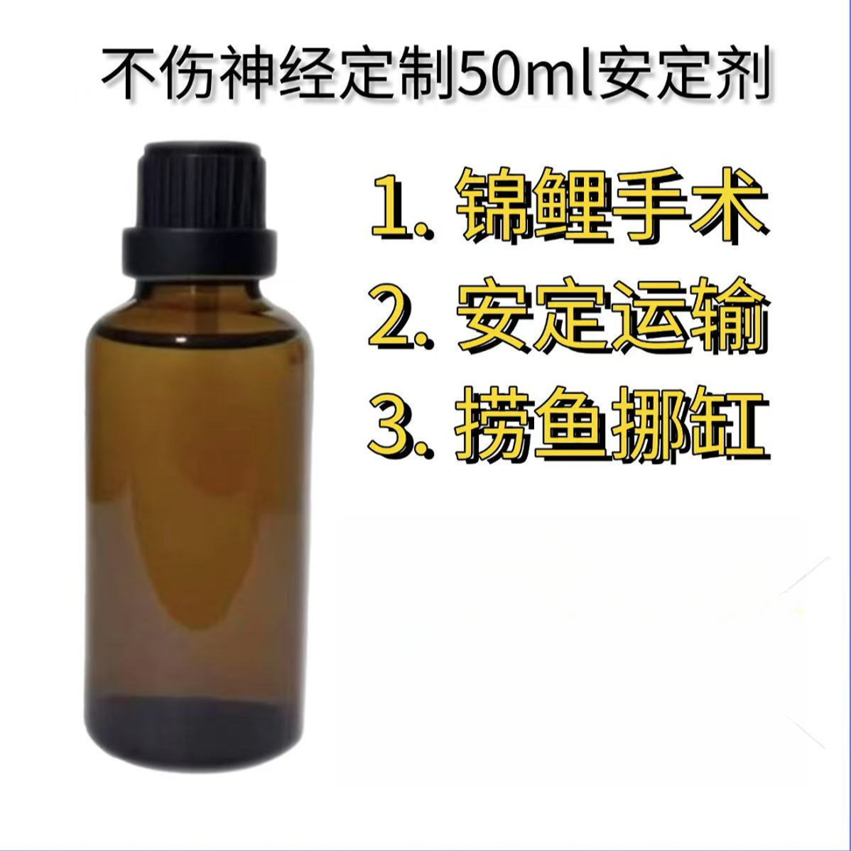 鱼安 静5分钟就安静