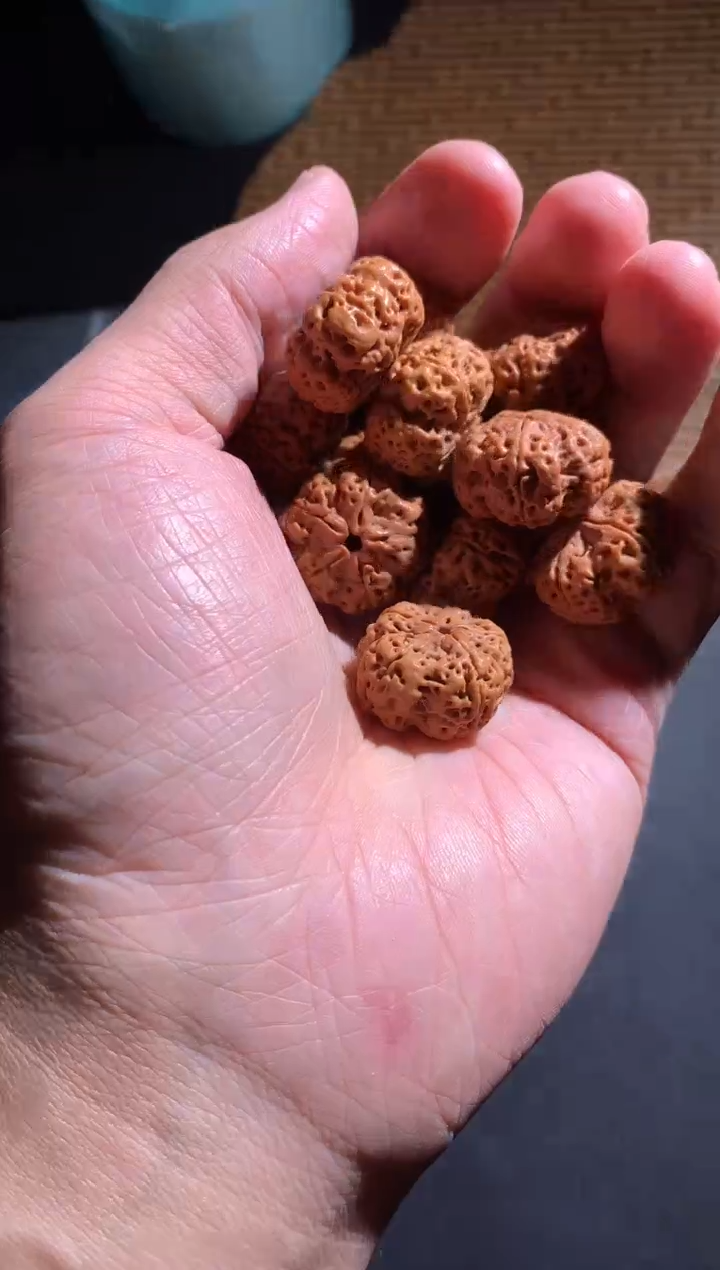 手串金刚菩提196