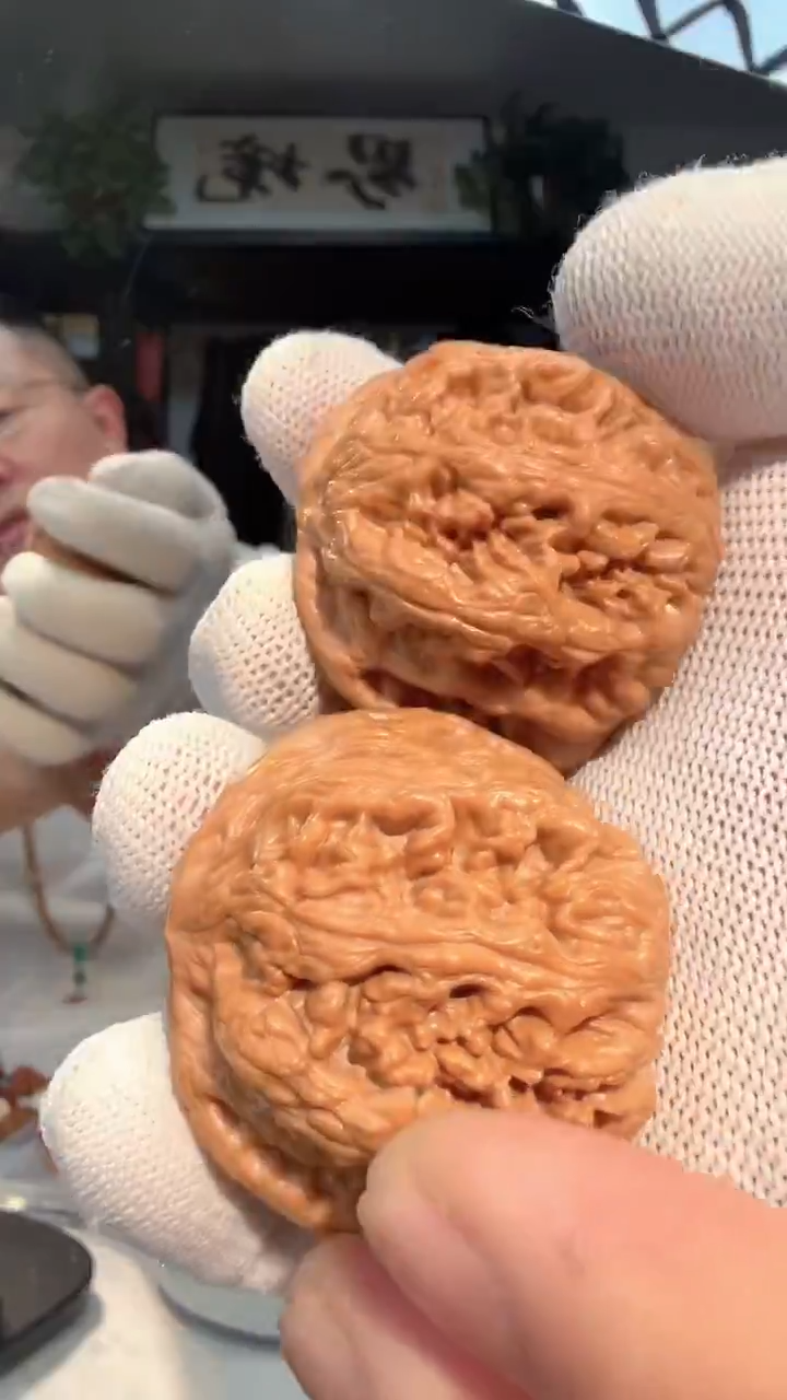 把件龙脊菩提用****1 017 粗筋