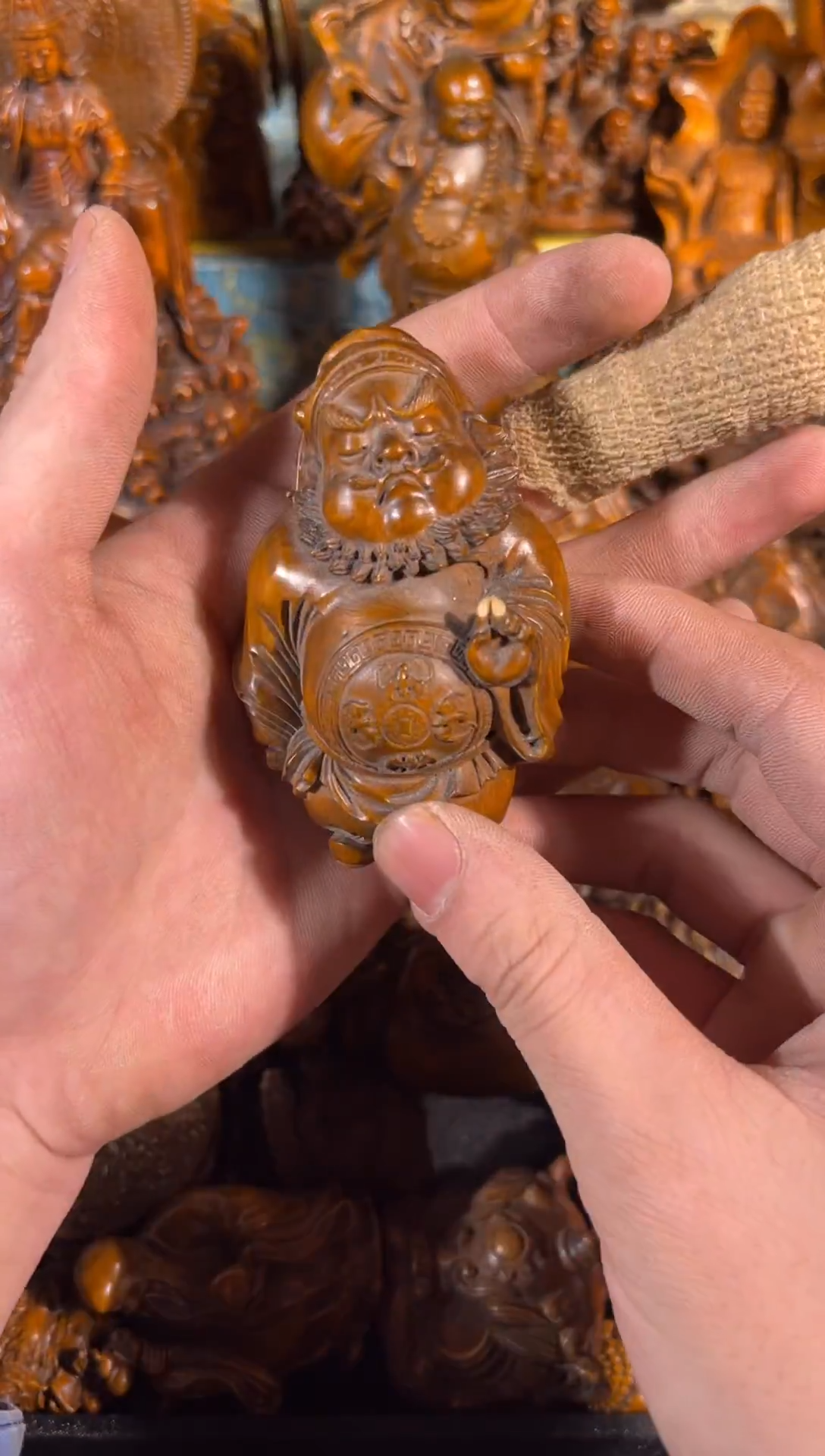 黄杨木11111111111111