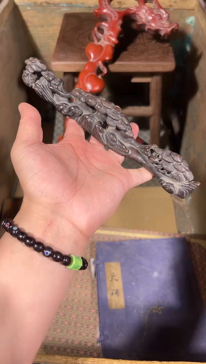 黄杨木11111111111111111111