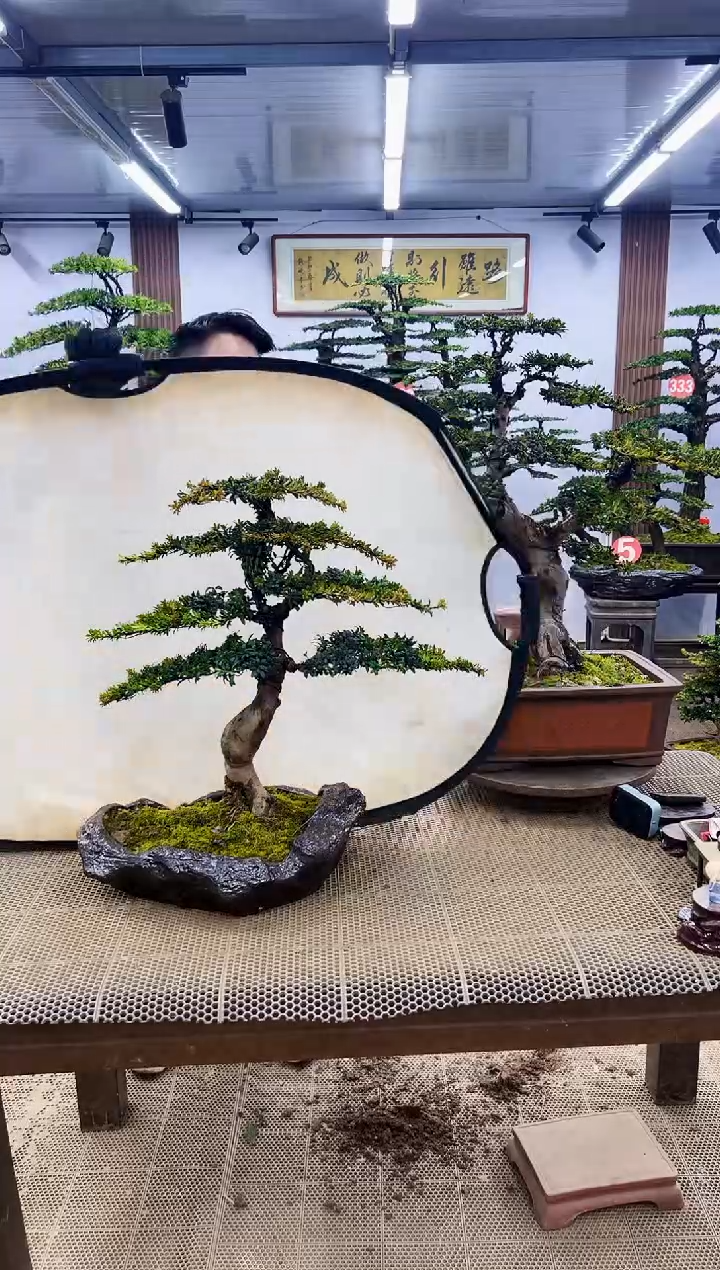 【闪购商品】0000000000