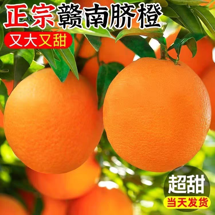 正宗赣南脐橙当季新鲜水果产地直发清甜多汁可手剥