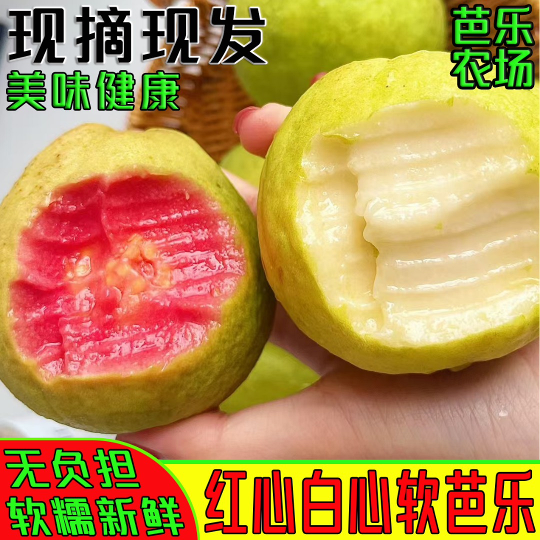 红心白心软芭乐草莓奶油芭乐软糯香甜新鲜水果低糖高VC产地直发