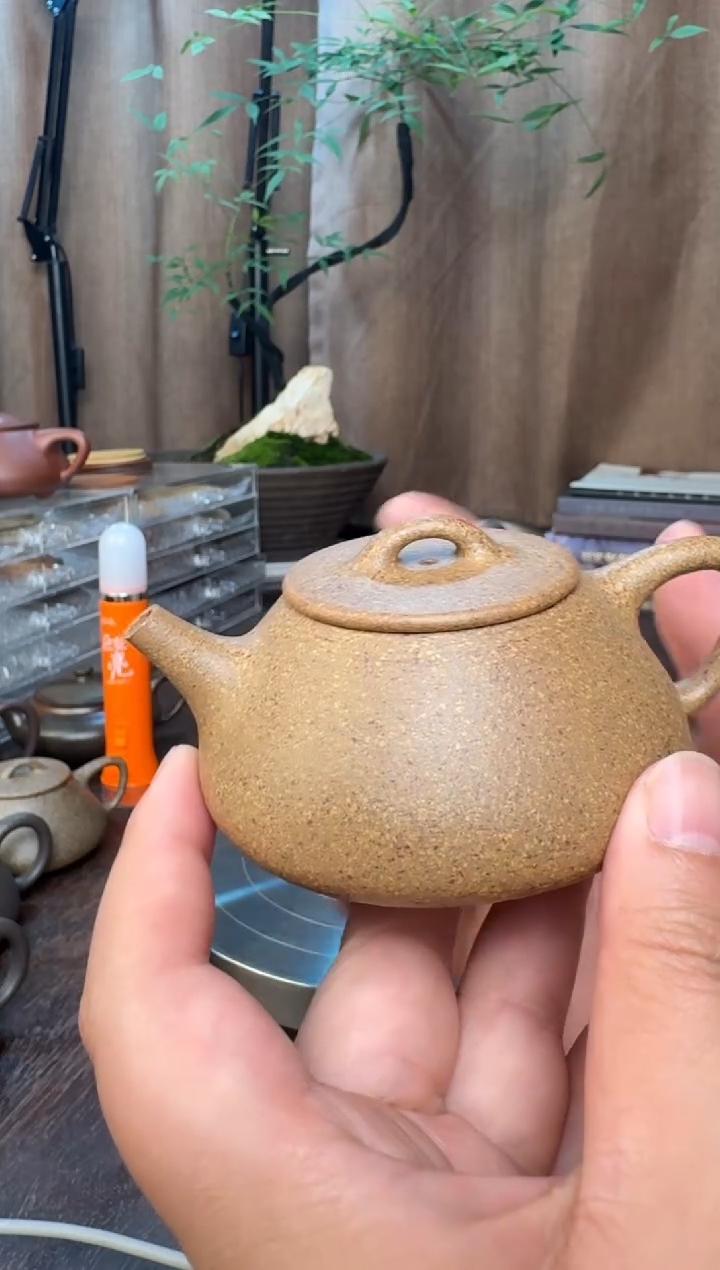 景州平盖石瓢-江威本人全手工制作-110CC