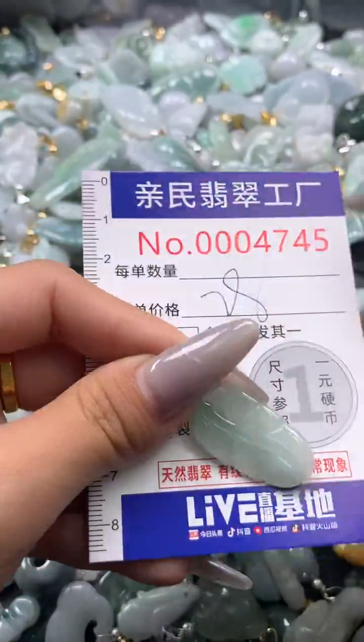 颈饰未镶嵌翡翠4745