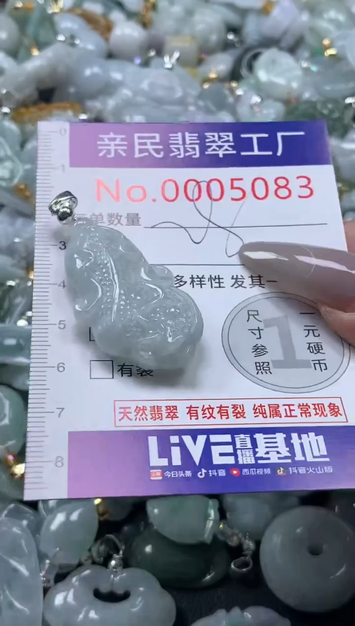 颈饰未镶嵌翡翠5083