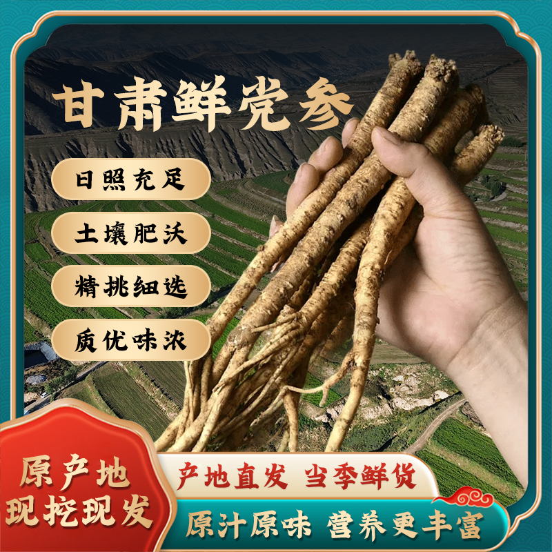 农雁玲甘肃原产地鲜党参/现挖现发/大条无硫/高原品质/煲汤滋补