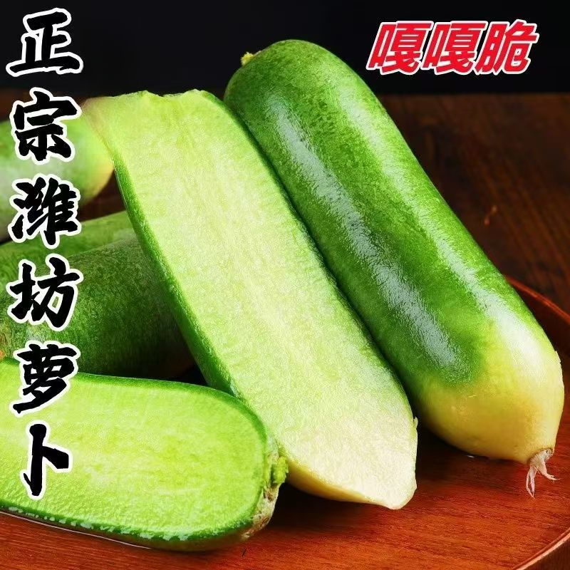 正宗潍坊水果青萝卜新鲜现挖甜脆生吃5斤包邮现货
