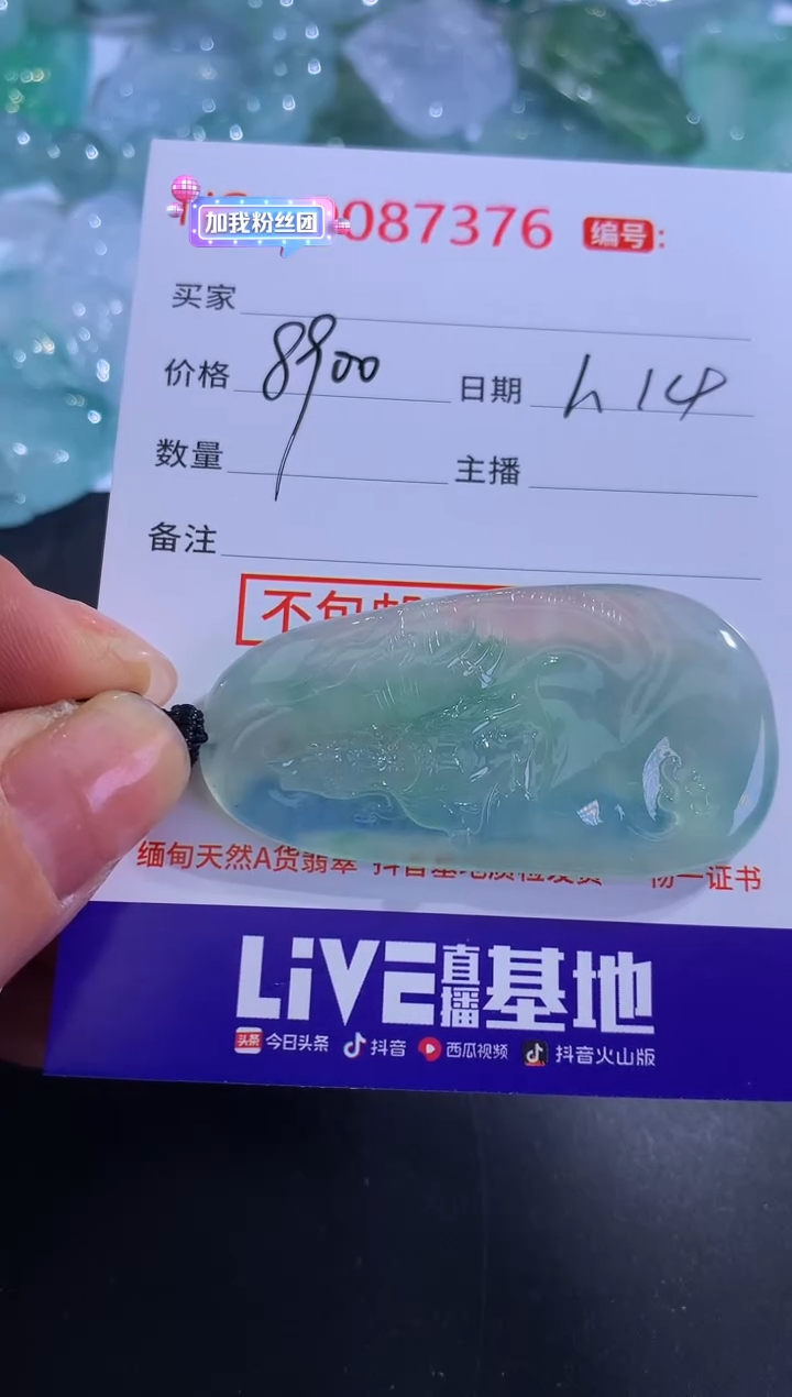 【闪购商品】翡翠颈饰未镶嵌！