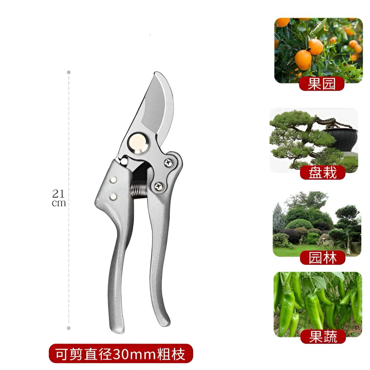 V10园林剪银色多功能园艺剪刀家用果树修枝花卉花枝修剪实用工具