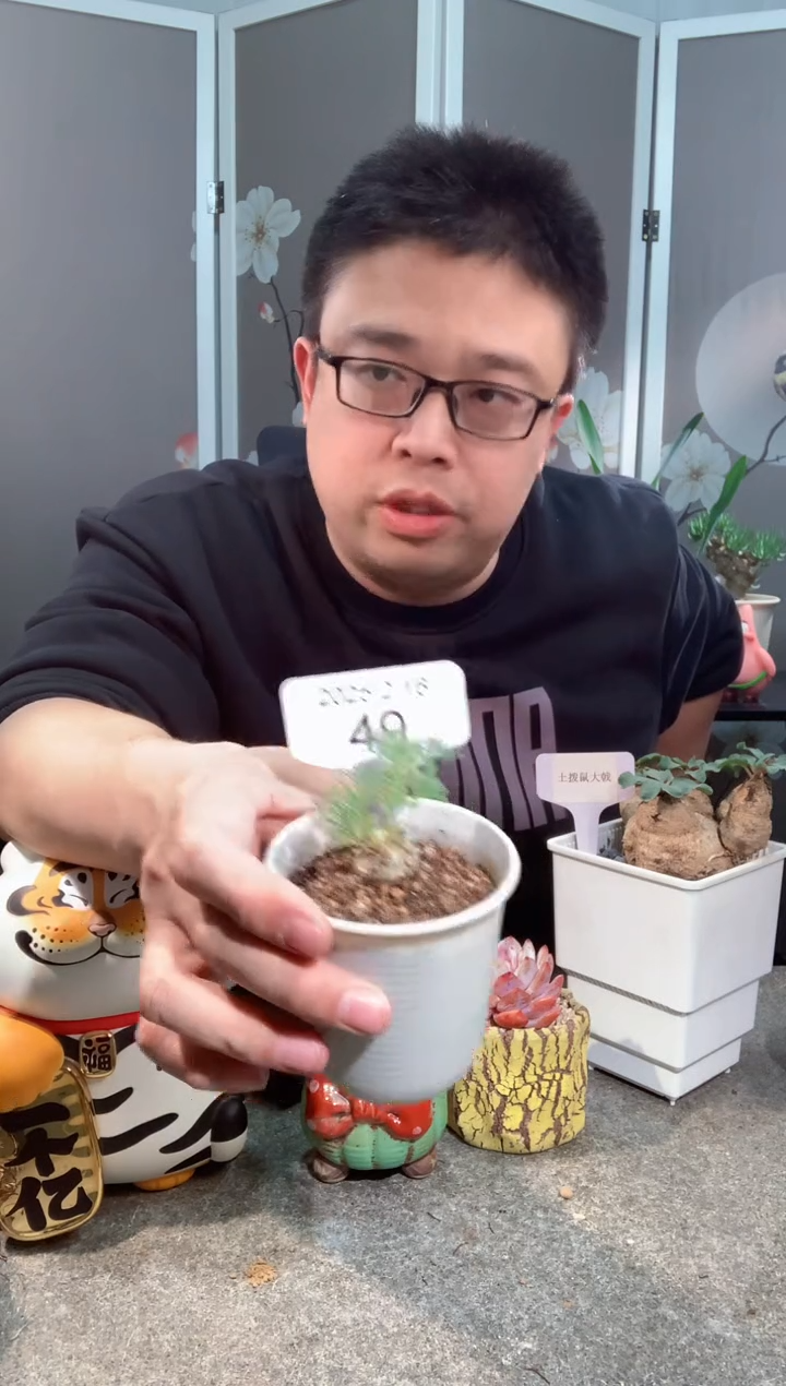 【闪购商品】光堂2.16.50