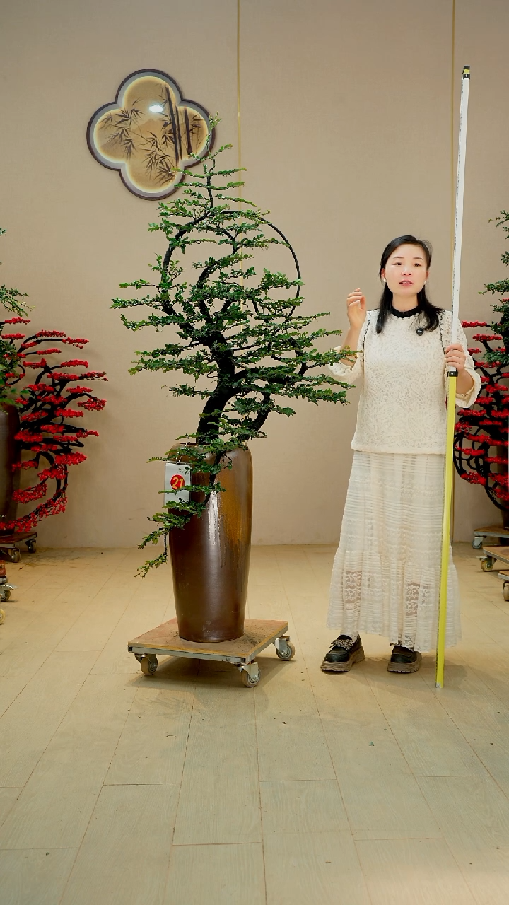 以实际为准河****司【广东小叶紫檀】落地高端盆景绿植四季常青常绿