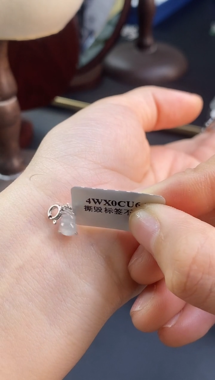 颈饰银S925镶嵌翡翠17528