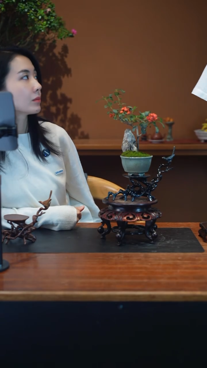 全部花朵火棘盆景盆景盆景