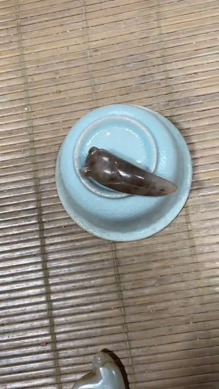 【闪购商品】瓷片手工，手绘，瓷器