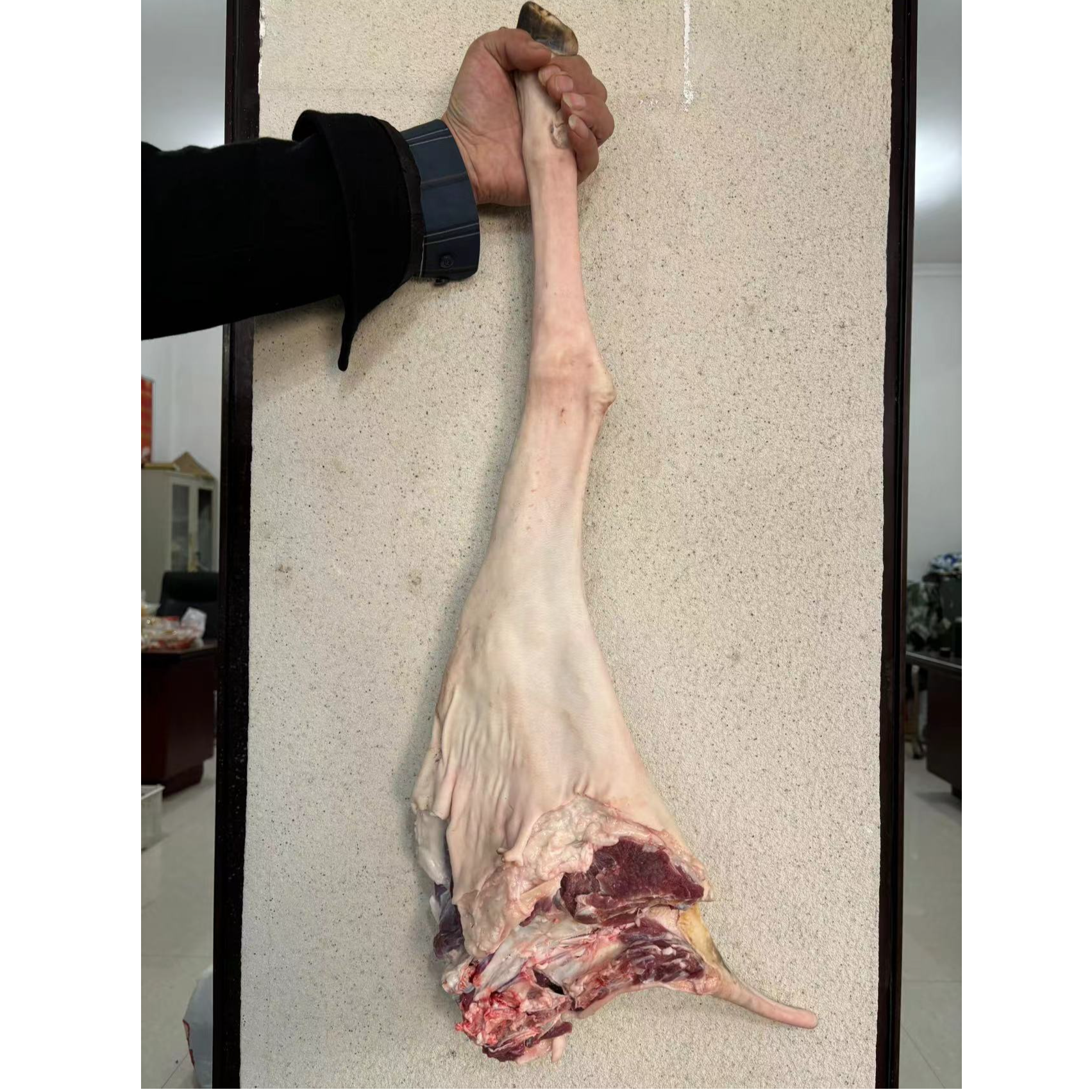 巢湖本地散养现宰新鲜山羊羊腿 顺丰冷冻发货