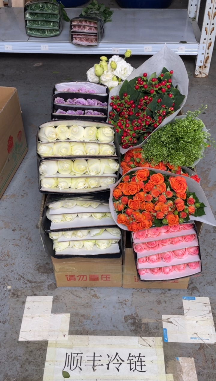 骄傲2扎+戴安娜+海洋+橙芭比2+白桔梗800克2+红豆+绿林草