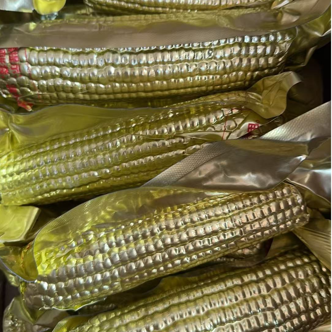 整箱金装鲜糯玉米