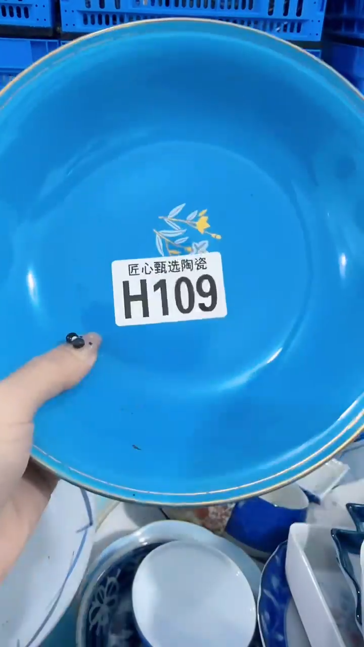 瓷片南*         H109